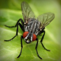 /album/mersin-escort-esra/photolia-a01-jpg/