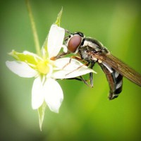 /album/mersin-escort-esra/photolia-a02-jpg/