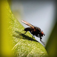 /album/mersin-escort-esra/photolia-a04-jpg/