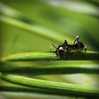 /album/mersin-escort-esra/photolia-a05-jpg/