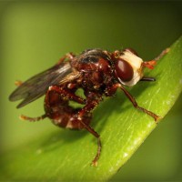 /album/mersin-escort-esra/photolia-a06-jpg/